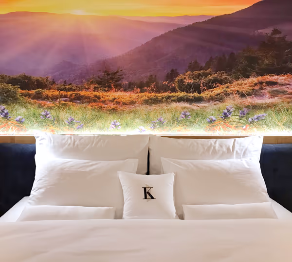 Dvoulůžkový pokoj s balkónem a king size bed